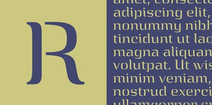 Epiphany Font Poster 5