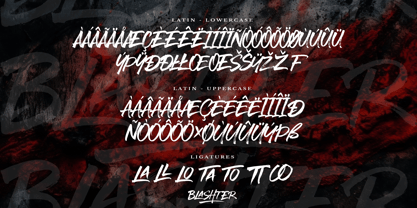 Blashter Font Poster 12