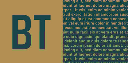 Broadside Text Font Poster 4