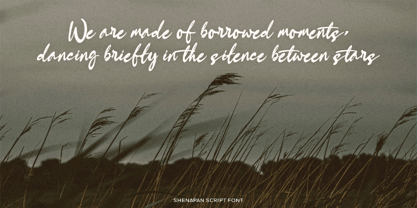 Shenapan Font Poster 7