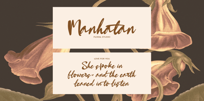 Shenapan Font Poster 8