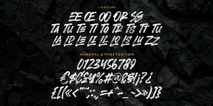 Break Rules Font Poster 10