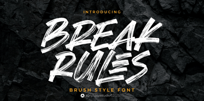 Break Rules Font Poster 1