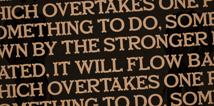 New Marion Font Poster 5