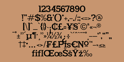 New Marion Font Poster 8