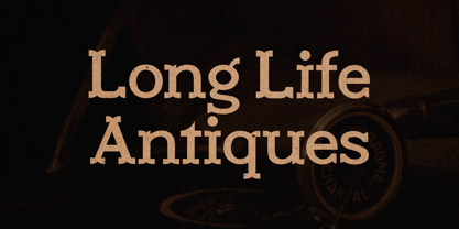 New Marion Font Poster 2