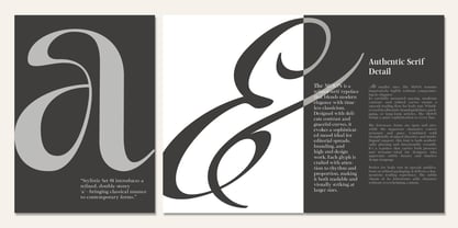 The Moon Duo Font Poster 12