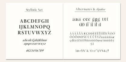 The Moon Duo Font Poster 7