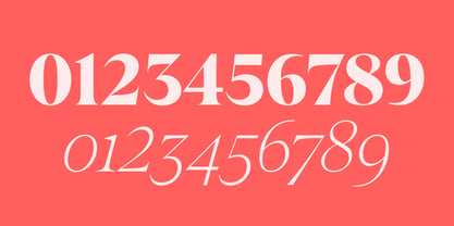 Crave Display Font Poster 4
