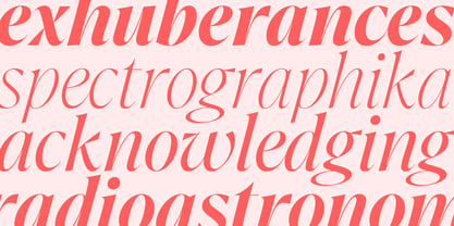Crave Display Font Poster 3