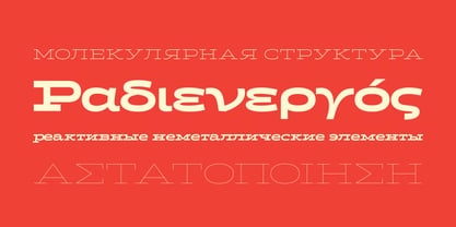 Halogen Slab Pro Paneuropean Font Poster 5