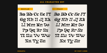 Noradya Font Poster 11