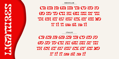 Noradya Font Poster 12