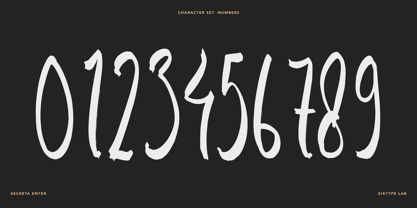 Secreta Enter Font Poster 4
