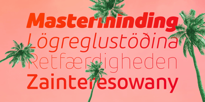 Pusia Nova Font Poster 3