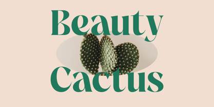 The Bencoy Font Poster 12