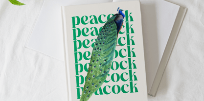 The Bencoy Font Poster 2