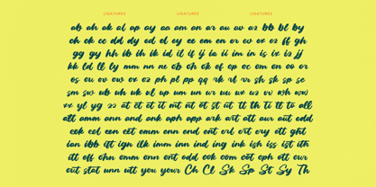 Factun Blacki Font Poster 14