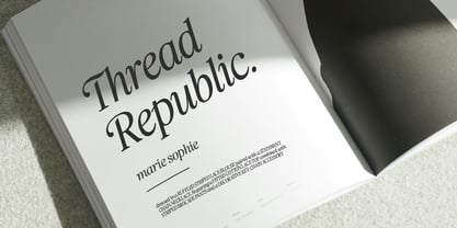 Praktive Font Poster 4