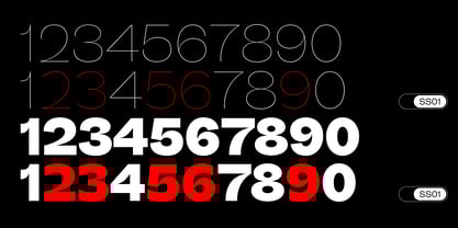 Big Sans Variable Font Poster 12