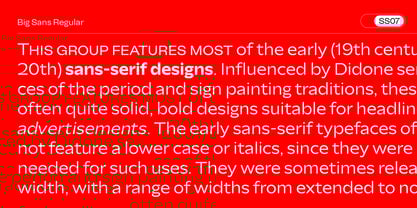 Big Sans Variable Font Poster 6