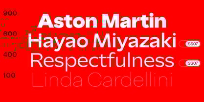 Big Sans Variable Font Poster 10