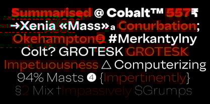 Big Sans Variable Font Poster 3