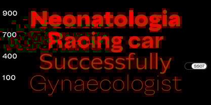 Big Sans Variable Font Poster 11