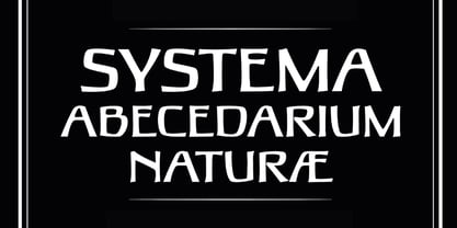 Galicia Font Poster 3