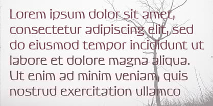 Galicia Font Poster 4