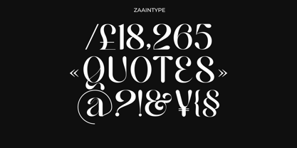 Hailing Font Poster 9