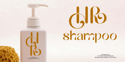 Hailing Font Poster 2