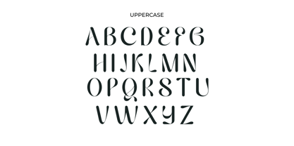 Hailing Font Poster 13