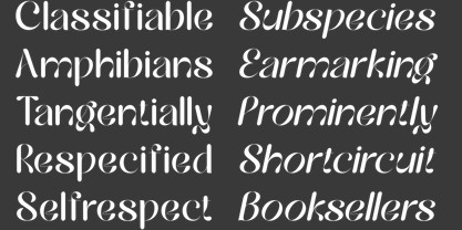 Hailing Font Poster 11