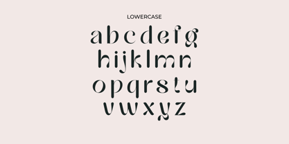 Hailing Font Poster 12