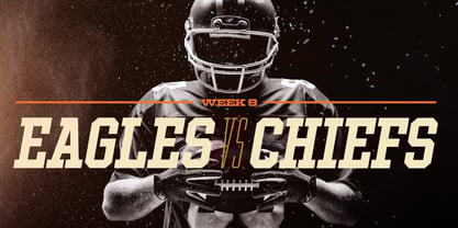 Ace Narrow Font Poster 4