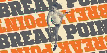 Ace Narrow Font Poster 3