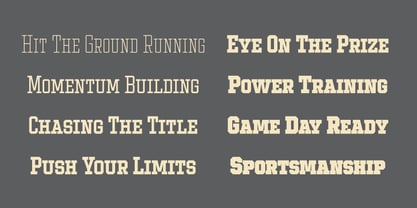 Ace Narrow Font Poster 6