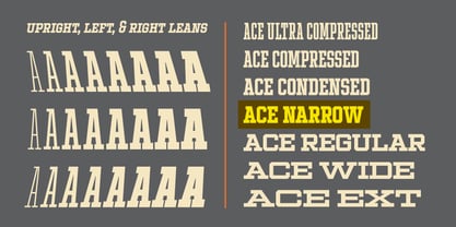 Ace Narrow Font Poster 2