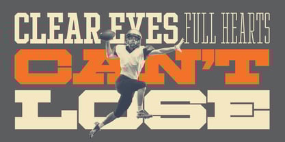 Ace Narrow Font Poster 8