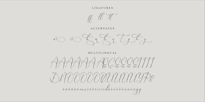 Dilanda Merlinmota Font Poster 8