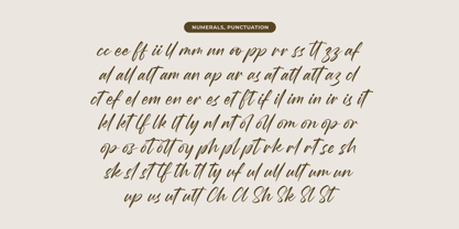 Wystine Esphelta Font Poster 14