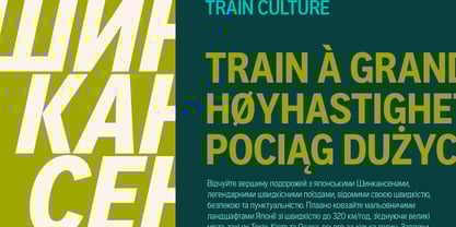 Aaux Pro Cyrillic Condensed Font Poster 6