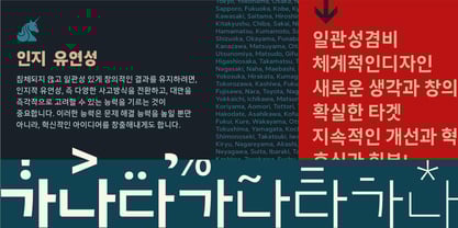 Clear Pro Korean Font Poster 5