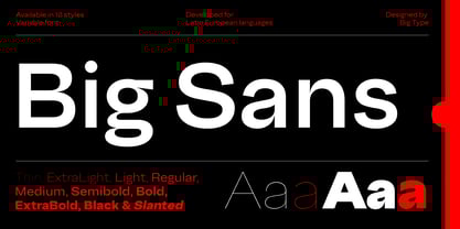 Big Sans Font Poster 1