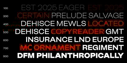 Big Sans Font Poster 9