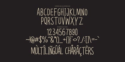 Unknown Person Display Font Poster 5