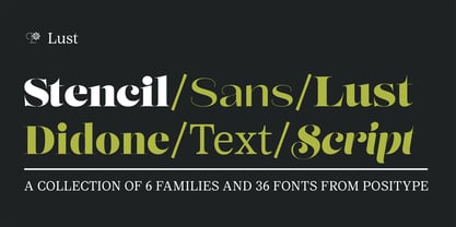 Lust Stencil Font Poster 12