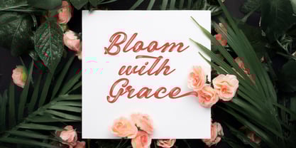 Miyabon Font Poster 2