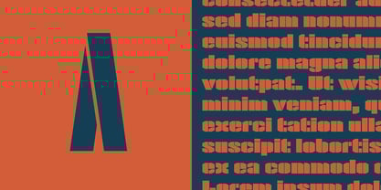 Flak Font Poster 4